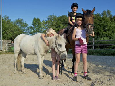 Bild 6 aus  Gut Altenoythe