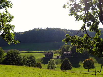 Bild 28 aus  Siefertshof