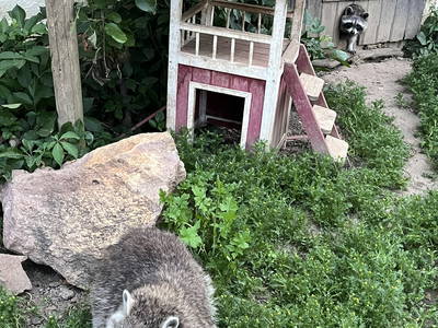 Bild 15 aus  Luminohof