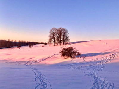 Bild 34 aus  Burgbauernhof am Katzenstein - Ursprünglichkeit des Landlebens gepaart mit Gesundheit und Luxus