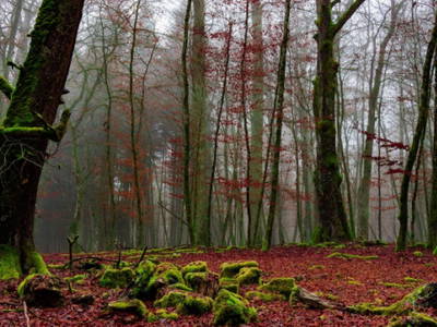 Bild 12 aus  Hofgut Unterbach