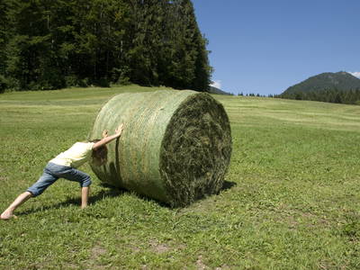 Bild 8 aus  Masererhof - Ferienbauernhof im Chiemgau