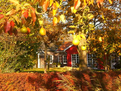 Bild 18 aus  Katrin's Ferienhof