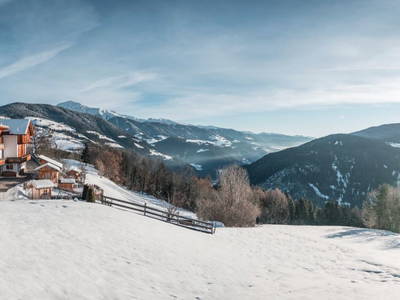 Bild 11 aus  Appartement Birkenhof - Urlaub mit Pferden und Alpakas