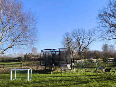 Bild 8 aus  Hof in de Wisch - Natur-Erlebnishof für Neugierige