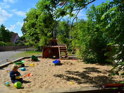 Bild 11 aus  Luftsnapper & Fellnasen