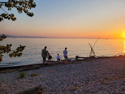 Bild 41 aus  Erholung - Natur pur - Urlaub auf dem Loyerhof