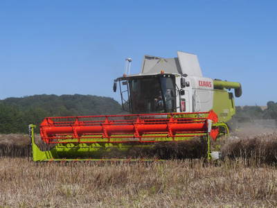 Bild 10 aus  Grünberger Hof