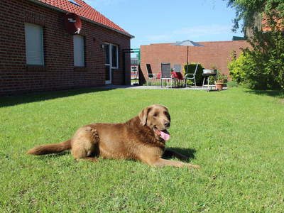 Bild 4 aus  Ferienwohnungen Meyerhoff