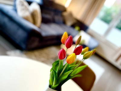 Bild 7 aus  Ferienwohnung Seeliebe