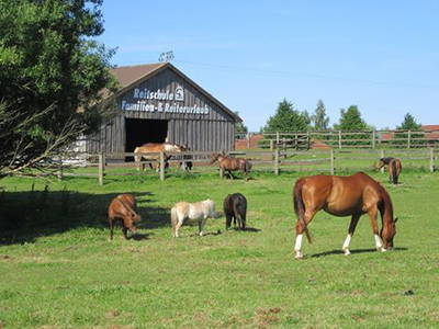 Bild 33 aus  Bernsteinreiter Hirschburg