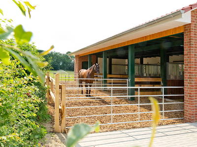 Bild 7 aus  Söhrenhof