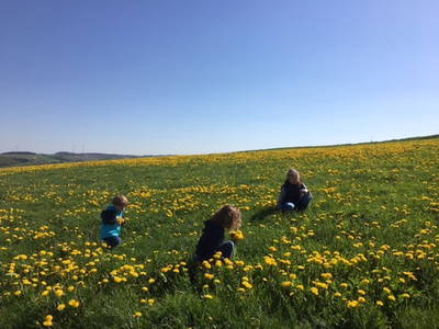 Bild 4 aus  Schmiedshof