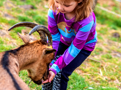 Bild 14 aus Büdl'farm - Der Familien-Erlebnishof
