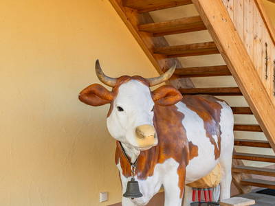 Bild 67 aus  Reiherhof