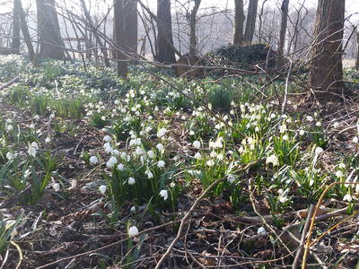 Bild 13 aus  Ferienhof Nissen