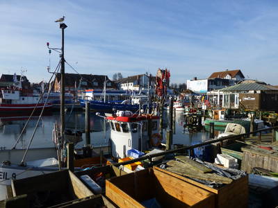 Bild 13 aus  Ferienhaus Achterdeck