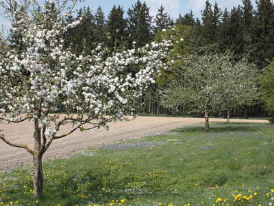 Bild 11 aus  Gästehaus Bergmoarhof