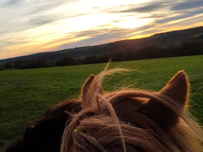 Bild 6 aus  Ferienwohnungen