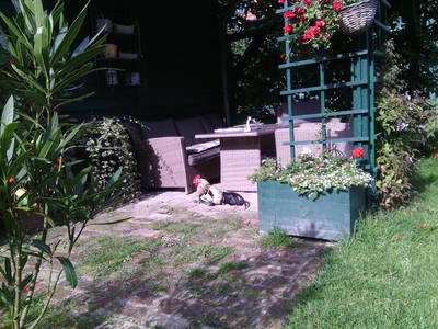 Bild 5 aus  Hannehof