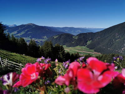 Bild 16 aus  Lechnerhof