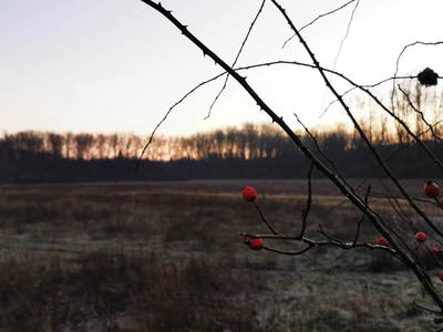 Bild 7 aus  Hof Schulze Harling