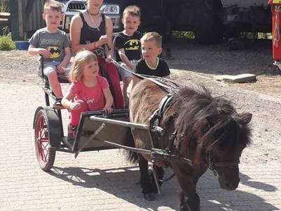 Bild 13 aus  Eschenhof