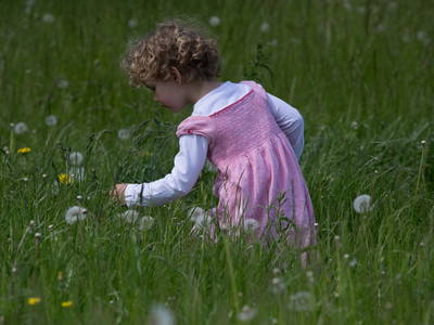 Bild 43 aus  Gut Friederikenhof