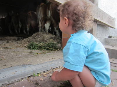 Bild 22 aus  Frankhof