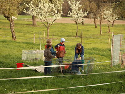 unsere Tiere auf die Weide bringen