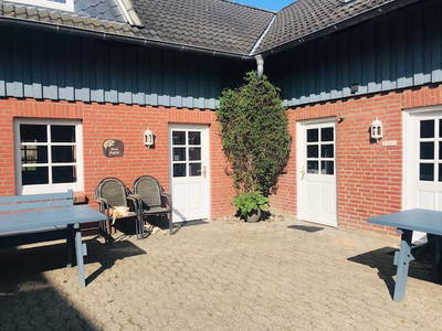 Bild 5 aus  Ferienhof Sell Bauernhofurlaub Ostsee Ponys