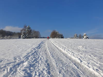 Bild 9 aus  Ferienhaus im Vorspessart
