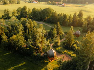 Im Wald verstreut die Ruhe genießen