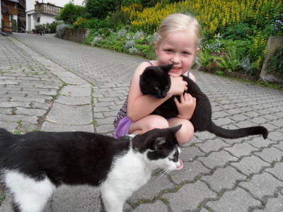 Bild 8 aus  Steffahof - Mitglied von LandSelection