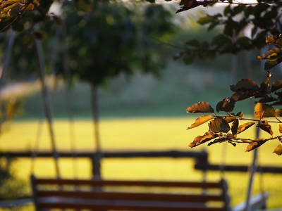 Platz zum Entspannen