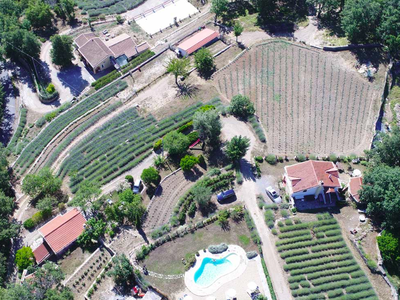 Bild 4 aus  Agriturismo Il Roccolo