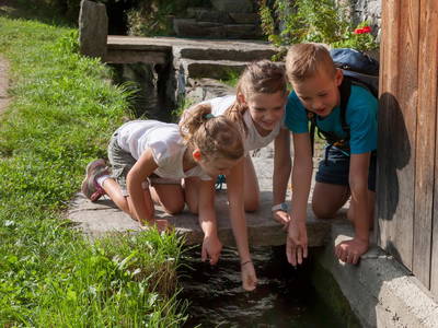 Bild 12 aus  Bioland Bauernhof Hausergut