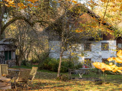 Bild 42 aus  Grashöfle