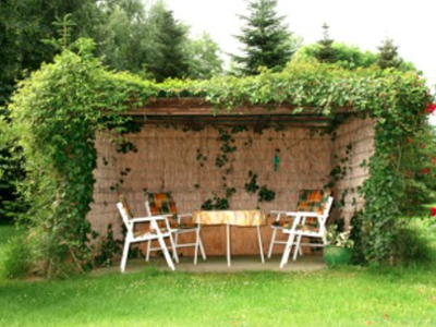 Bild 14 aus  Ferienhof Maaß