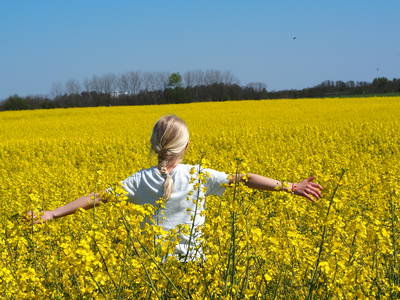 Bild 43 aus  Gestüt Hof am See