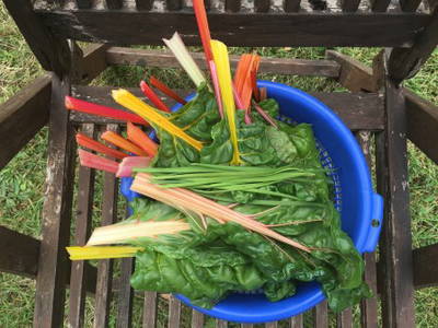 Bild 58 aus  FerienGut Dalwitz     www.feriengutdalwitz.de