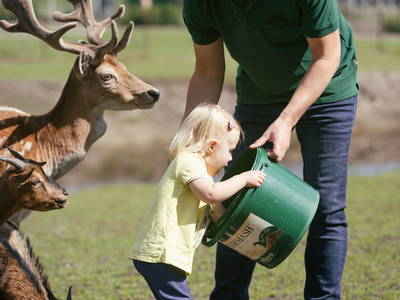 Bild 7 aus  Familienhof Brüning