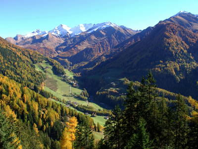 Bild 30 aus  Oberhöherhof