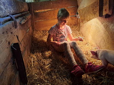 Im Ferkelnest Ferkel besuchen