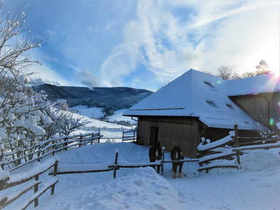 Bild 9 aus  „Hernis-Höfle“ Wohlfühlambiente im Elztal  5⭐️Sterneferien.