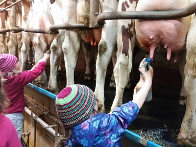 Bild 3 aus  Ferienhof Nissen