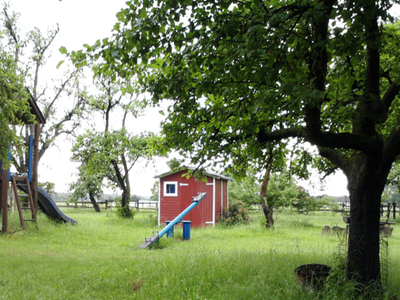 Bild 5 aus  Reitsport Wikner