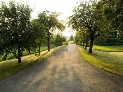 Bild 19 aus  LandSelection Die Schenkenau
