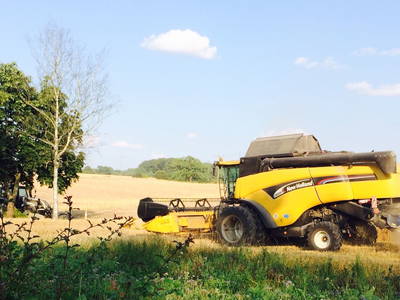 Bild 18 aus  LandSelection Ferienhof Radlandsichten