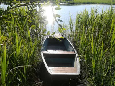 Bild 14 aus  Ferienhof Endras